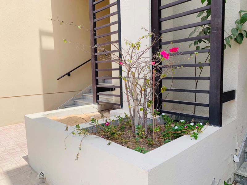 GTV23 frontyard